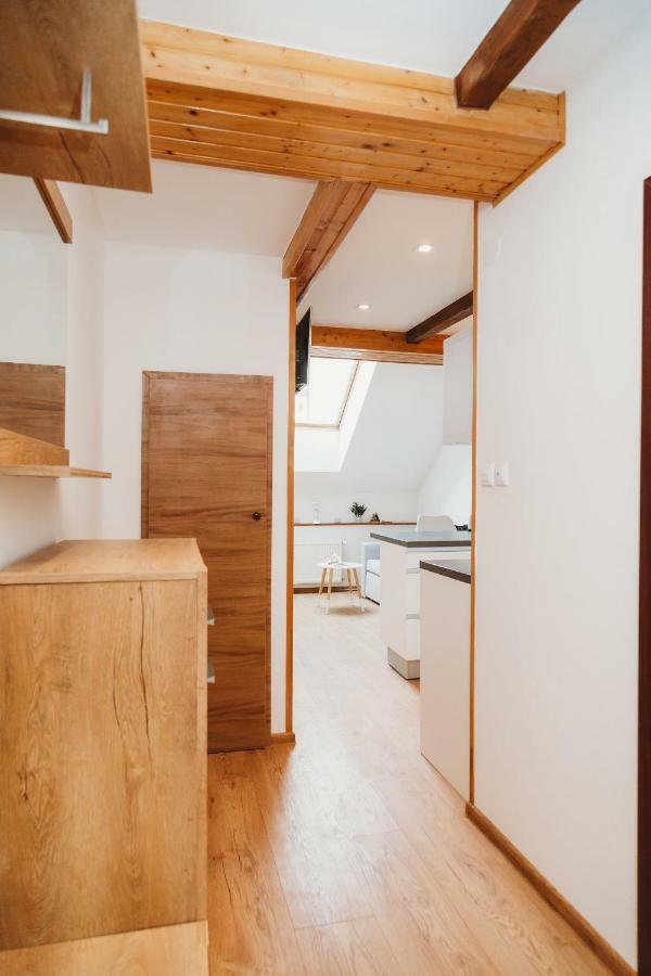 Center City Charming Loft Apartment Кошице Екстер'єр фото